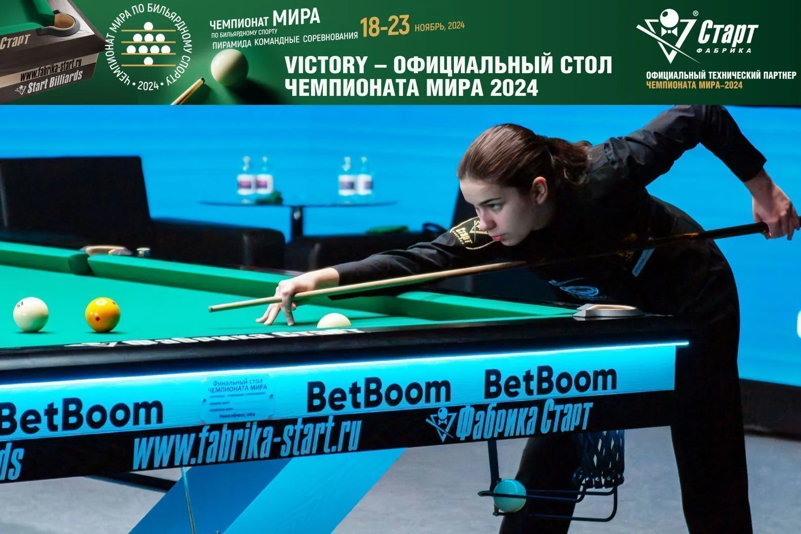 Бильярдный стол Victory